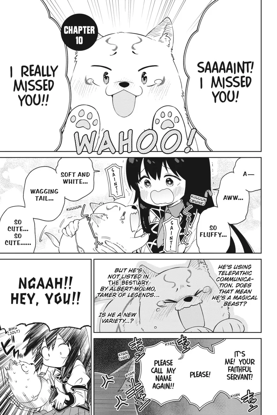 Saint? Nope, Just a Monster Tamer Passing Through Chapter 10 page 1 - 