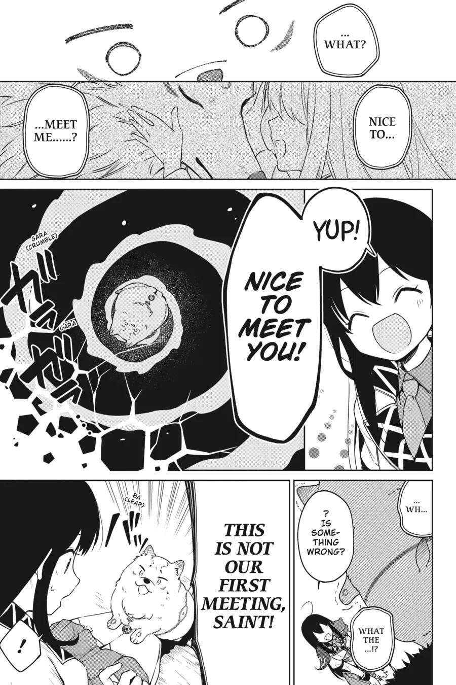 Saint? Nope, Just a Monster Tamer Passing Through Chapter 10 page 13 - 