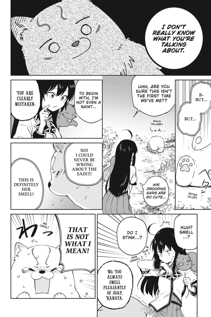 Saint? Nope, Just a Monster Tamer Passing Through Chapter 10 page 16 - 