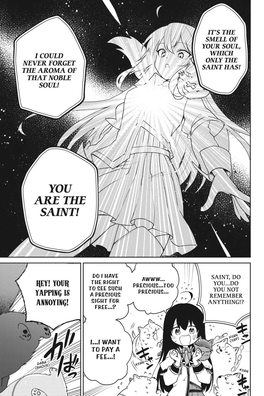 Saint? Nope, Just a Monster Tamer Passing Through Chapter 10 page 17 - 