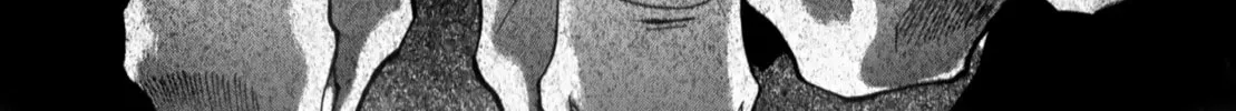 Read Saiyuki RELOAD BLAST chapter 10.2 image 37 on Lezhin