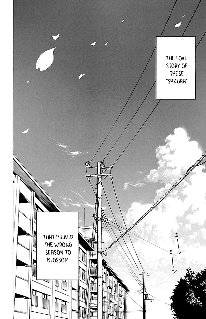Read Sakura Discord chapter 26 image 23 on Lezhin