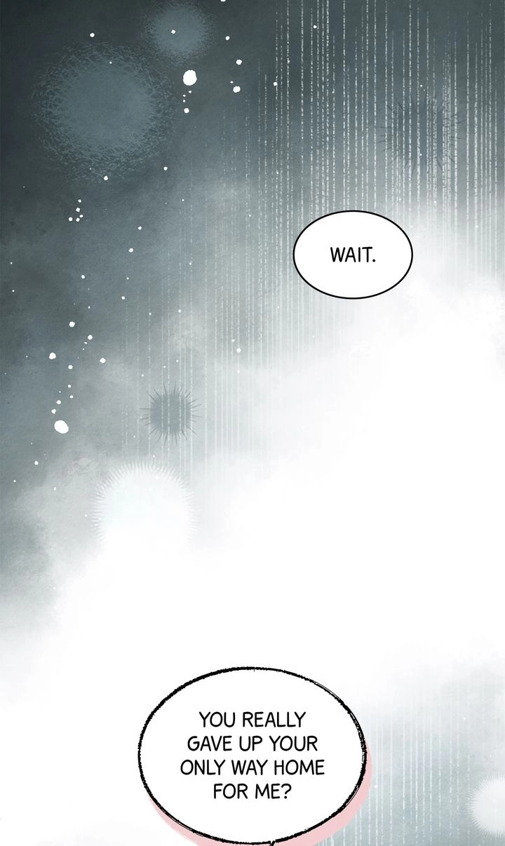 Read Sakura
