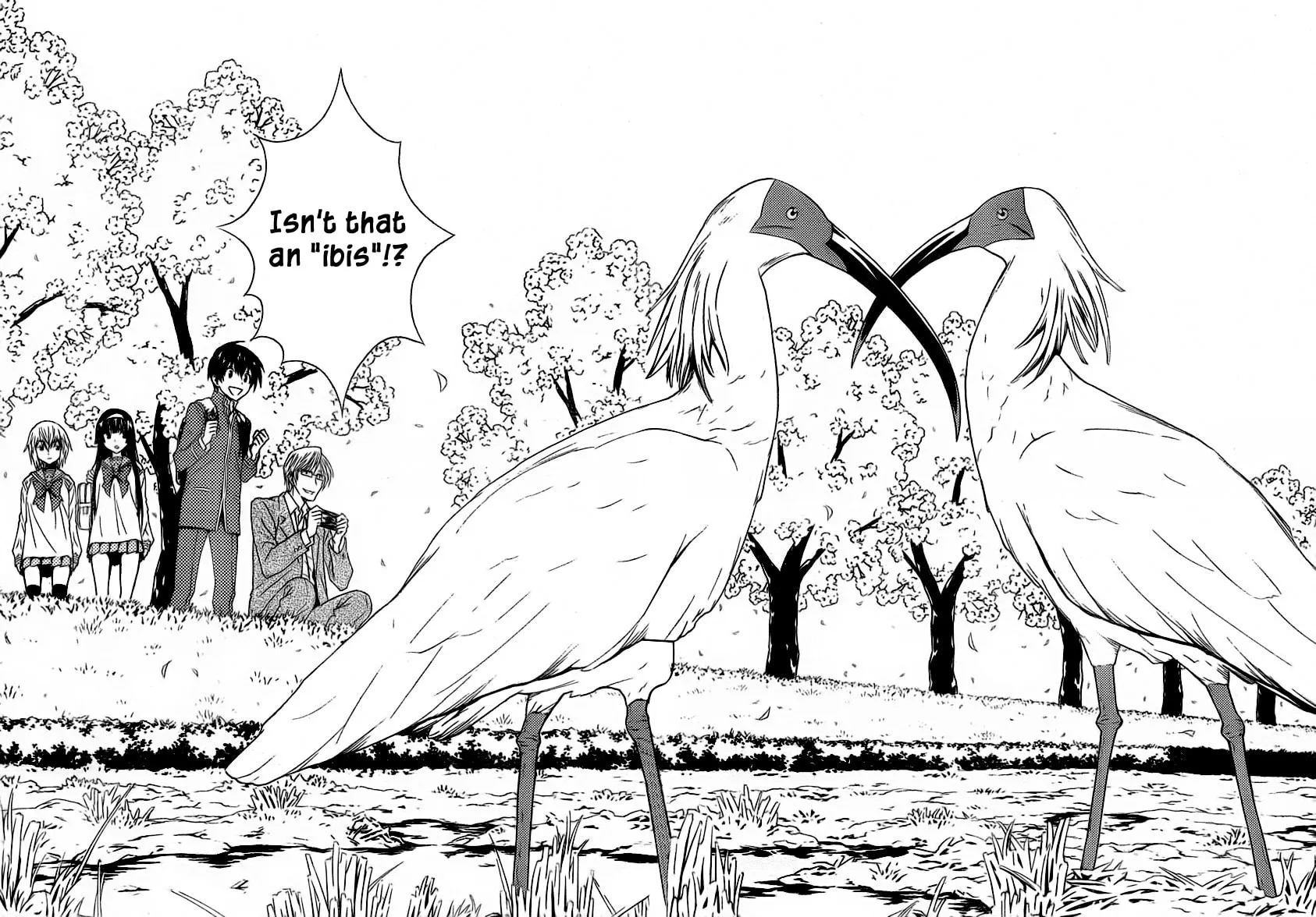 Read Sakura Sakura chapter 5 image 5 on Lezhin