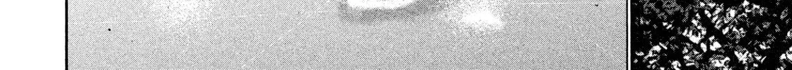 Read Salman chapter 1 image 25 on Lezhin