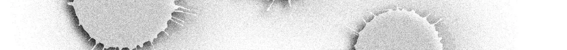 Read Salman chapter 2 image 45 on Lezhin