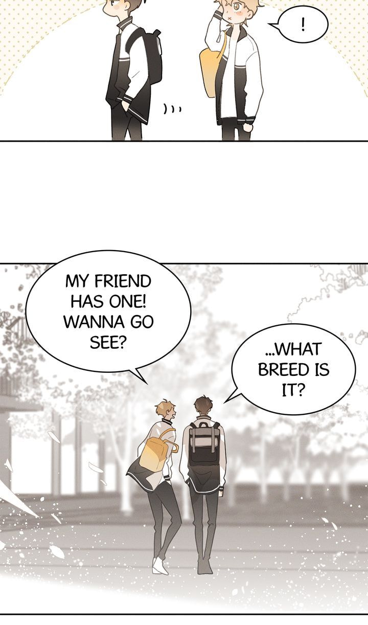 Salt Friend Chapter 10 page 13 - 
