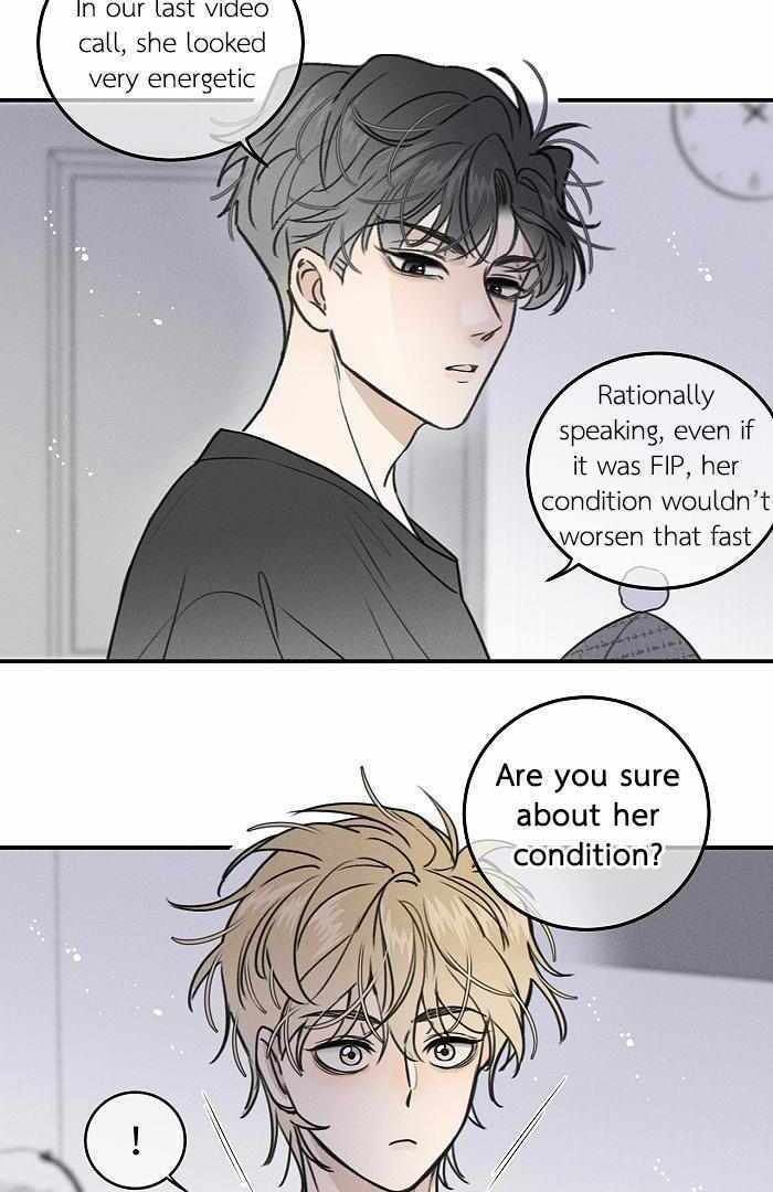 Salt Friend Chapter 164 page 2 - 