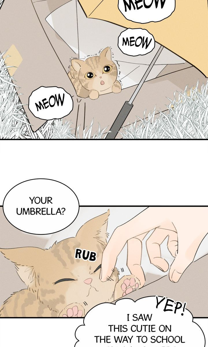 Salt Friend Chapter 21 page 15 - 