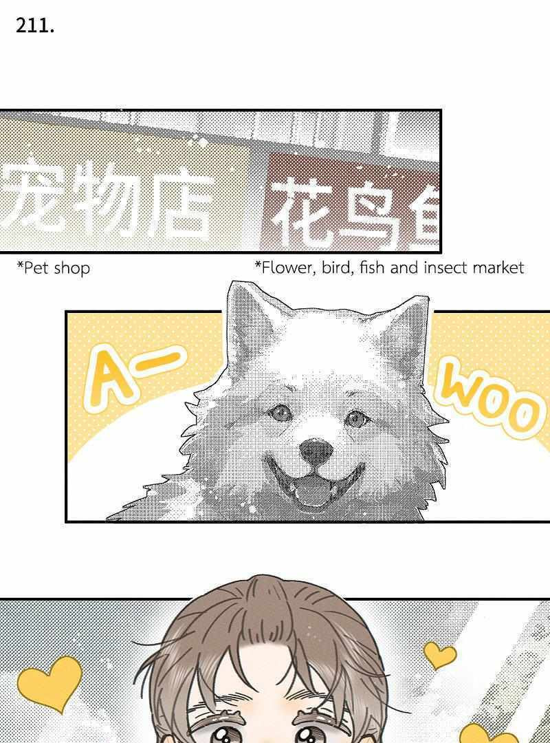 Salt Friend Chapter 211 page 1 - 