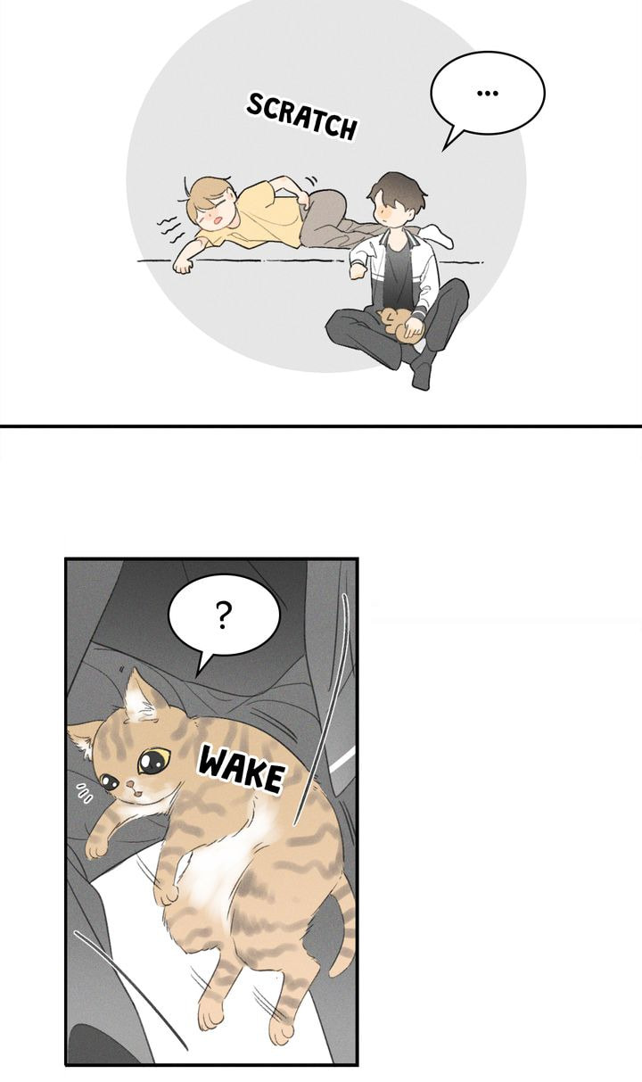 Salt Friend Chapter 25 page 21 - 