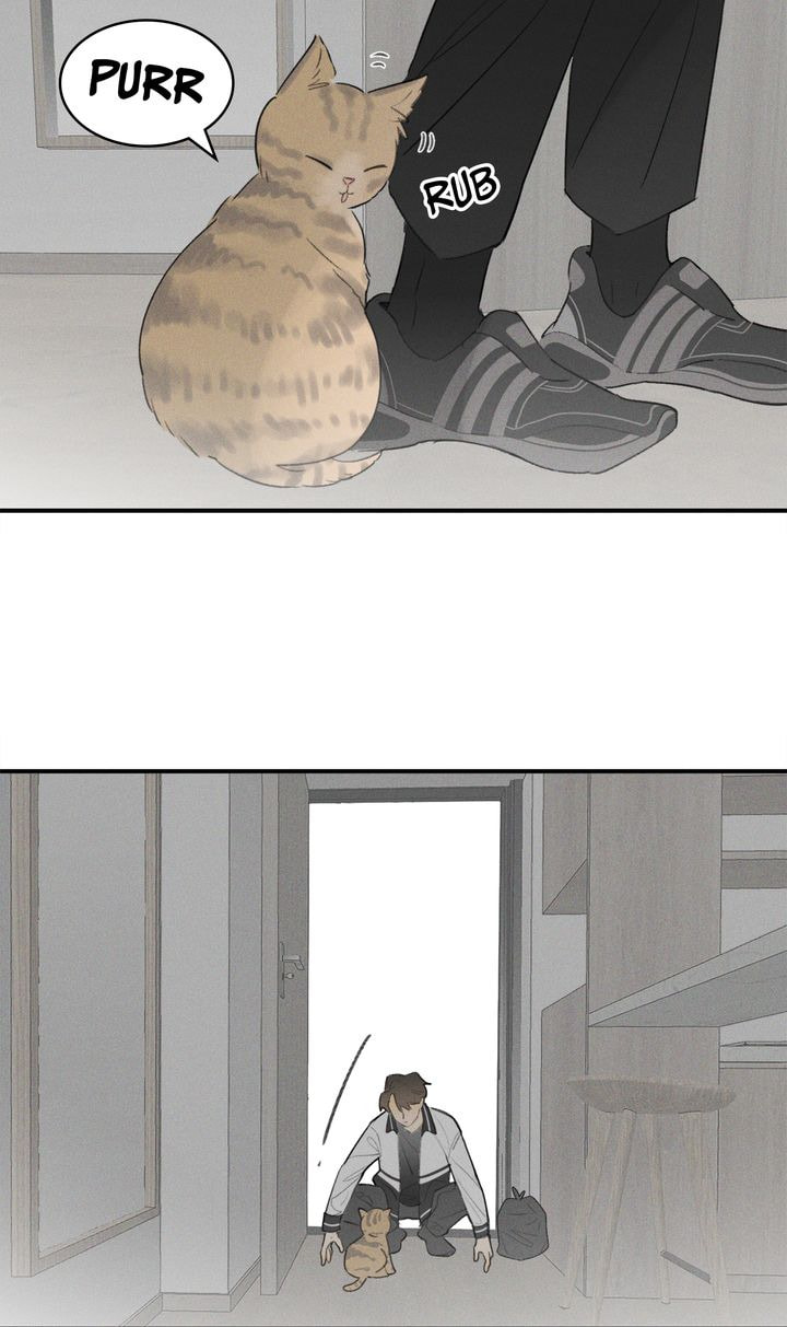 Salt Friend Chapter 25 page 27 - 