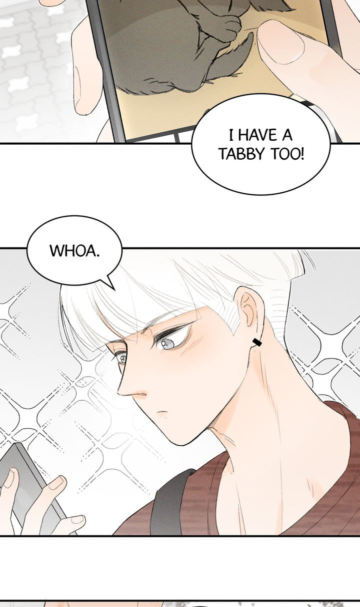 Salt Friend Chapter 28 page 6 - 