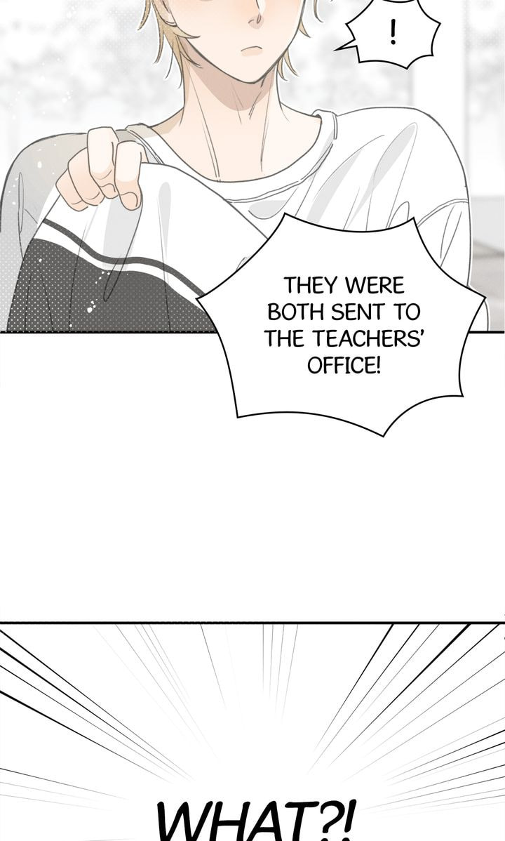 Salt Friend Chapter 48 page 29 - 