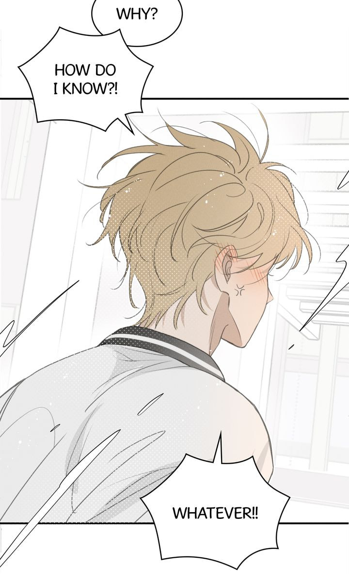 Salt Friend Chapter 48 page 53 - 