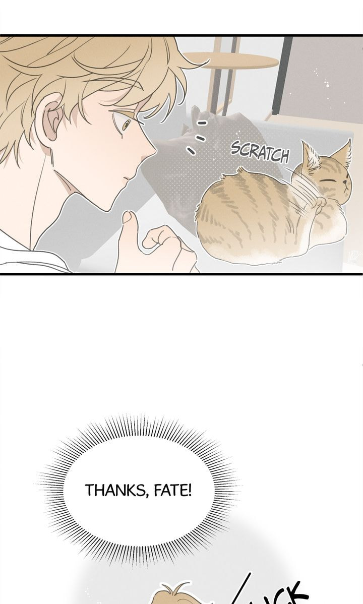 Salt Friend Chapter 51 page 11 - 