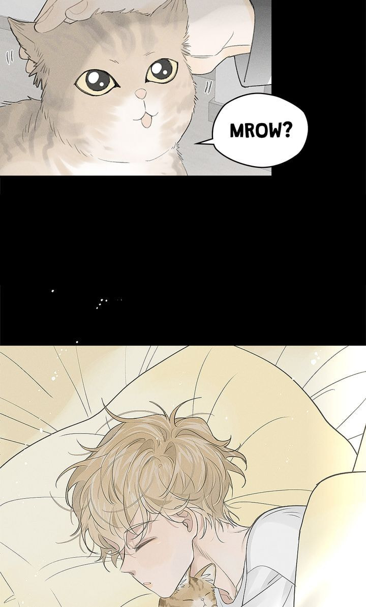Salt Friend Chapter 60 page 43 - 
