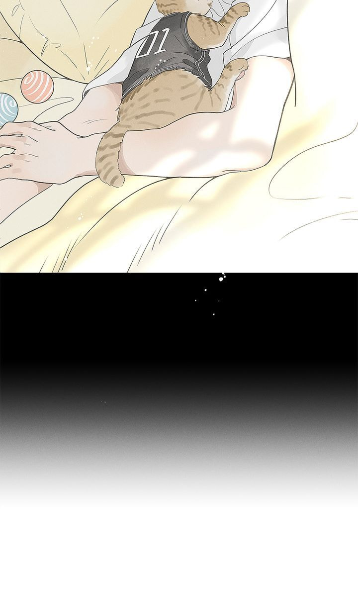 Salt Friend Chapter 60 page 44 - 