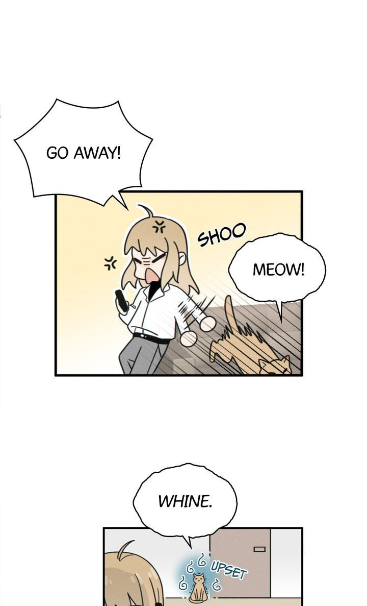 Salt Friend Chapter 69 page 5 - 