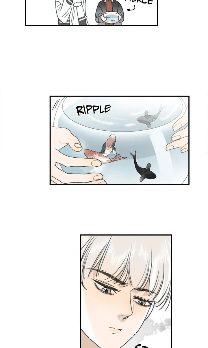 Salt Friend Chapter 74 page 39 - 