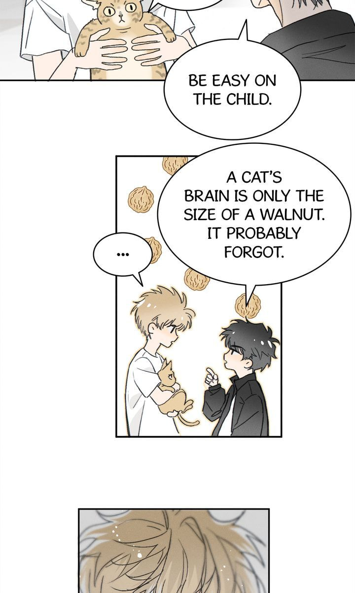 Salt Friend Chapter 86 page 17 - 