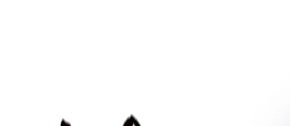 Read Salvos (A Monster Evolution LitRPG) chapter 70 image 97 on Lezhin