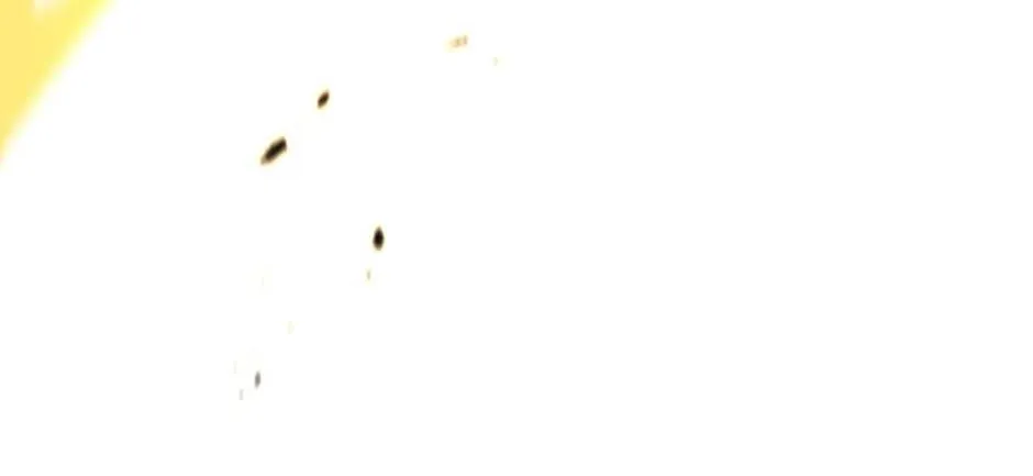 Read Salvos chapter 25 image 41 on Lezhin
