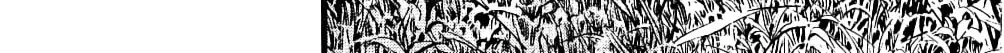 Read Sanctuary chapter 104 image 37 on Lezhin