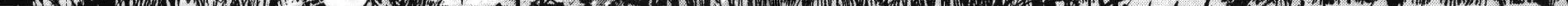 Read Sanctuary chapter 49 image 2 on Lezhin