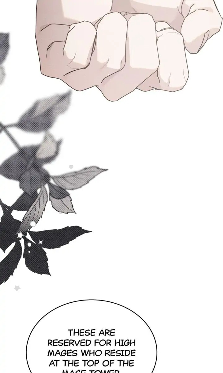 Read Under the Oak Tree chapter 50 image 35 on Lezhin