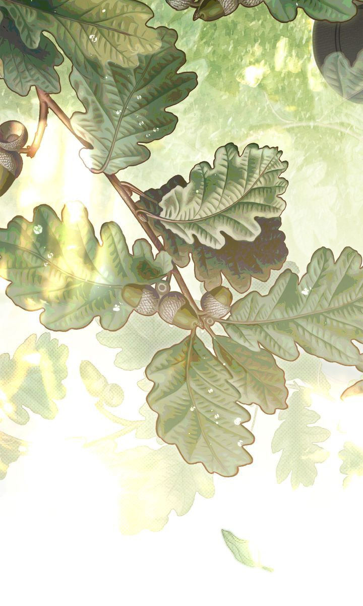 Read Under the Oak Tree chapter 97 image 13 on Lezhin