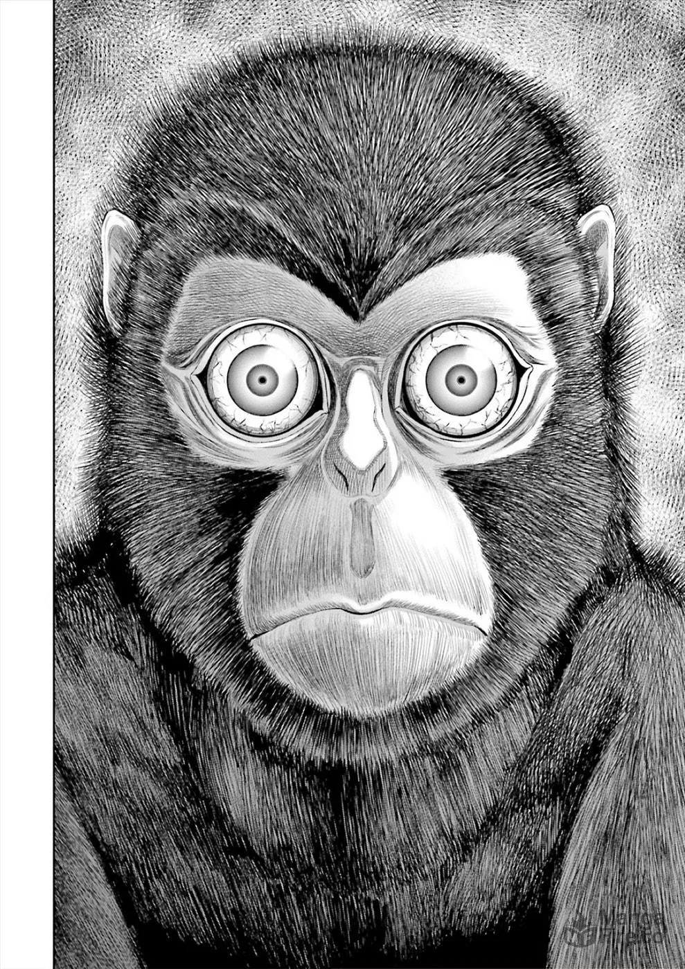 Read Sarumane chapter 3 image 11 on Lezhin