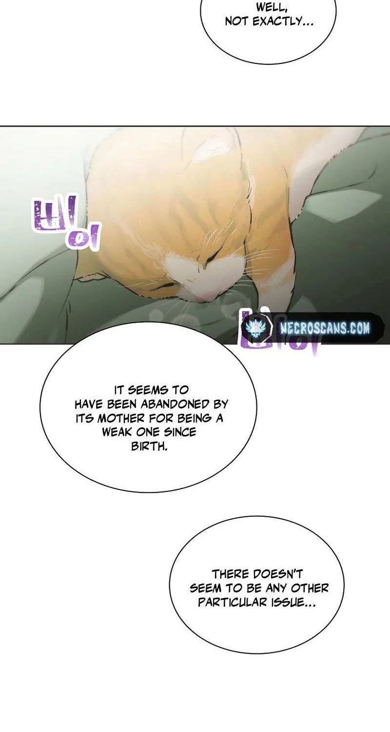Saving the Doomed Idols With My Touch Chapter 52 page 21 - 