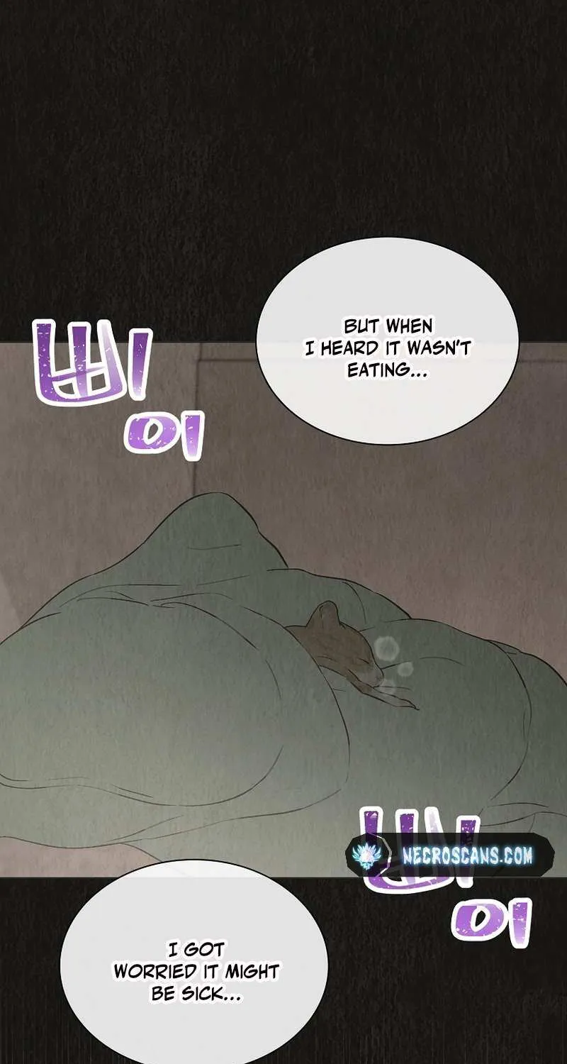 Saving the Doomed Idols With My Touch Chapter 52 page 38 - 