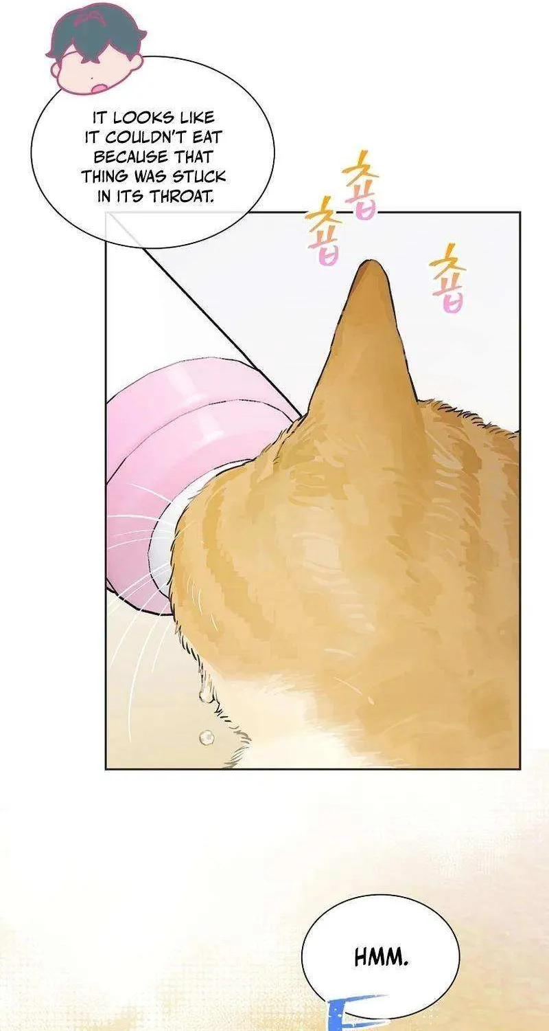 Saving the Doomed Idols With My Touch Chapter 53 page 32 - 