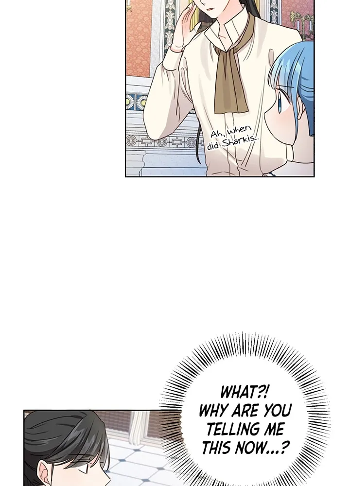 Saving the Villain from the Heroine Chapter 11 page 18 - 