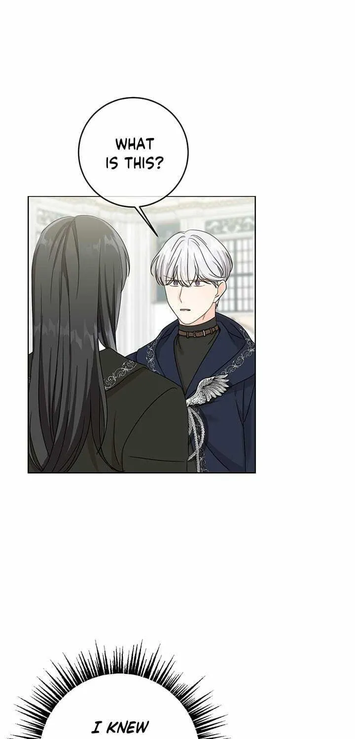 Saving the Villain from the Heroine Chapter 14 page 14 - 