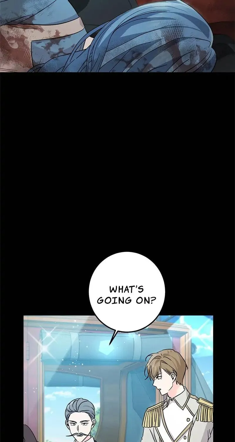 Saving the Villain from the Heroine Chapter 62 page 65 - 