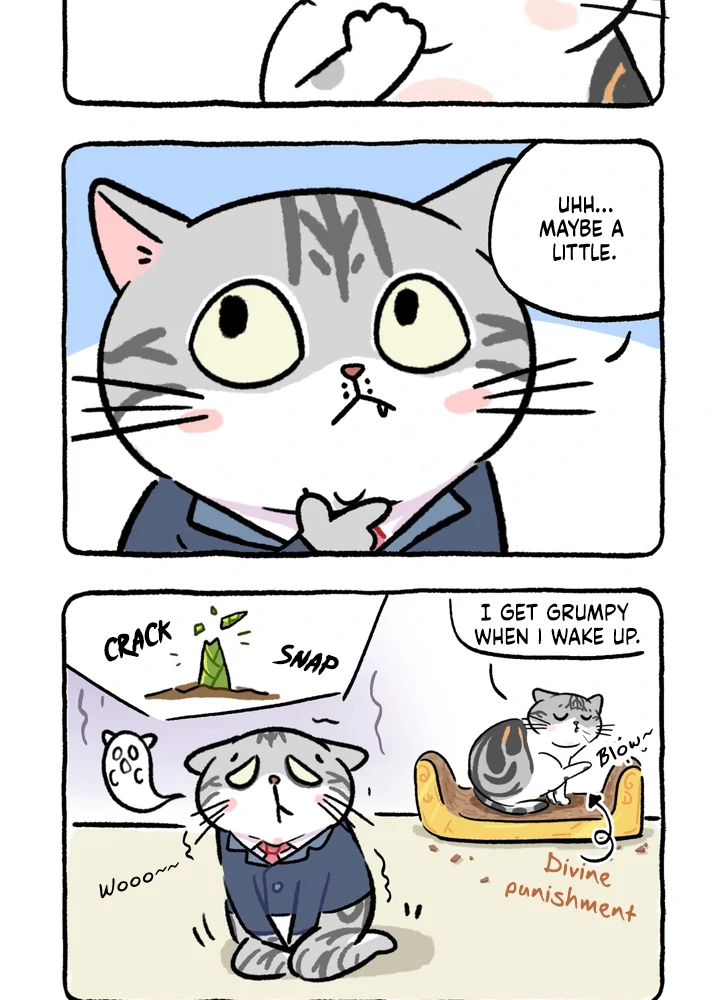 Read Scallion and coriander without chilli chapter 3 image 3 on Lezhin