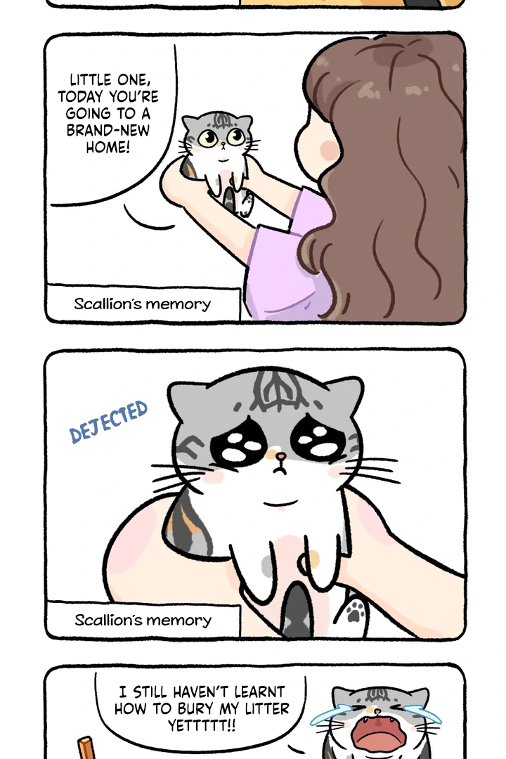 Read Scallion and coriander without chilli chapter 4 image 1 on Lezhin
