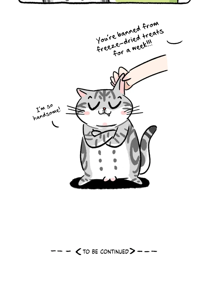 Read Scallion and coriander without chilli chapter 4 image 4 on Lezhin