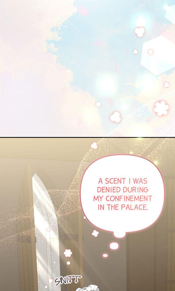 Read Scars in Your Name chapter 13 image 2 on Lezhin