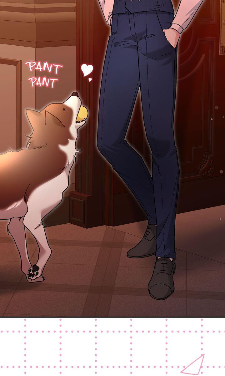 Read Scars in Your Name chapter 26 image 70 on Lezhin