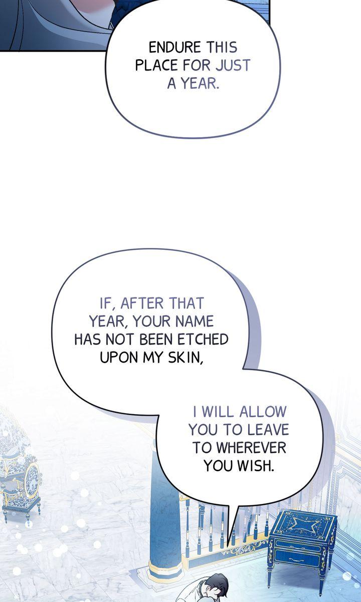 Read Scars in Your Name chapter 3 image 33 on Lezhin
