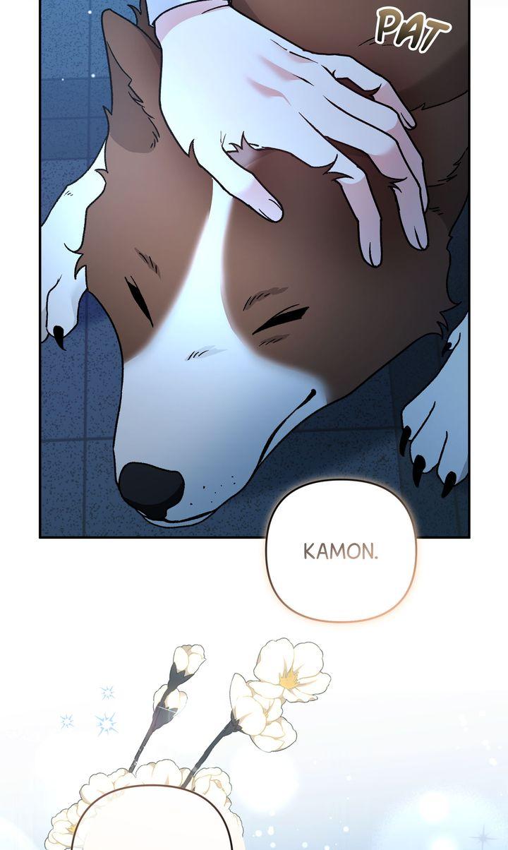 Read Scars in Your Name chapter 35.1 image 20 on Lezhin
