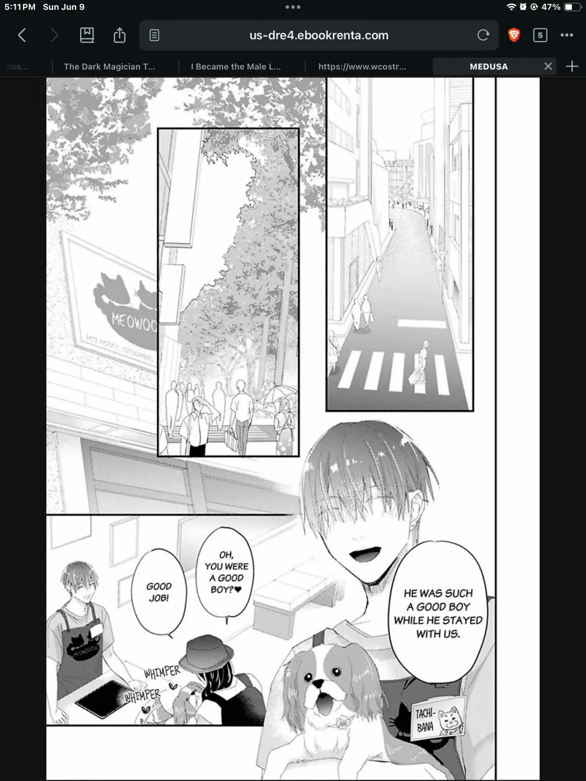 Read Scent-Love Pheromones chapter 13 image 19 on Lezhin