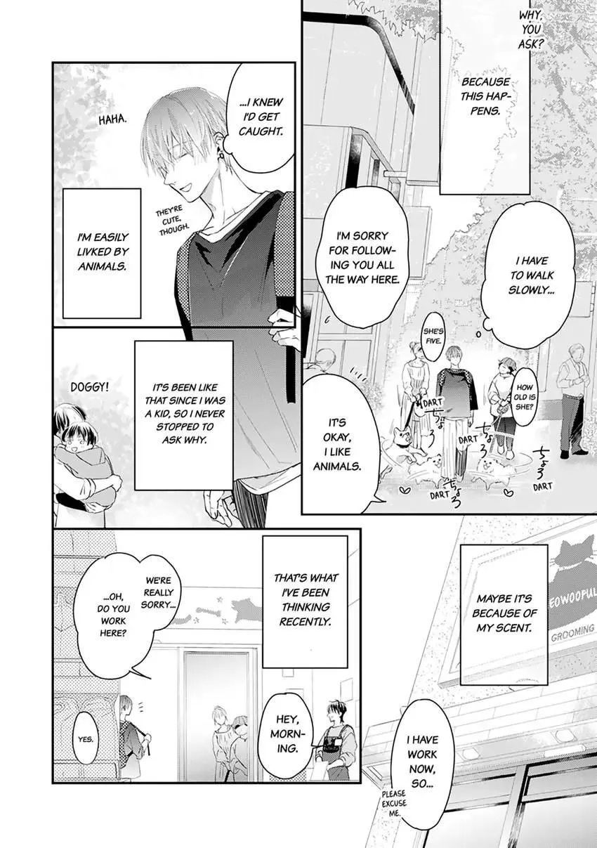 Read Scent-Love Pheromones chapter 8.1 image 6 on Lezhin