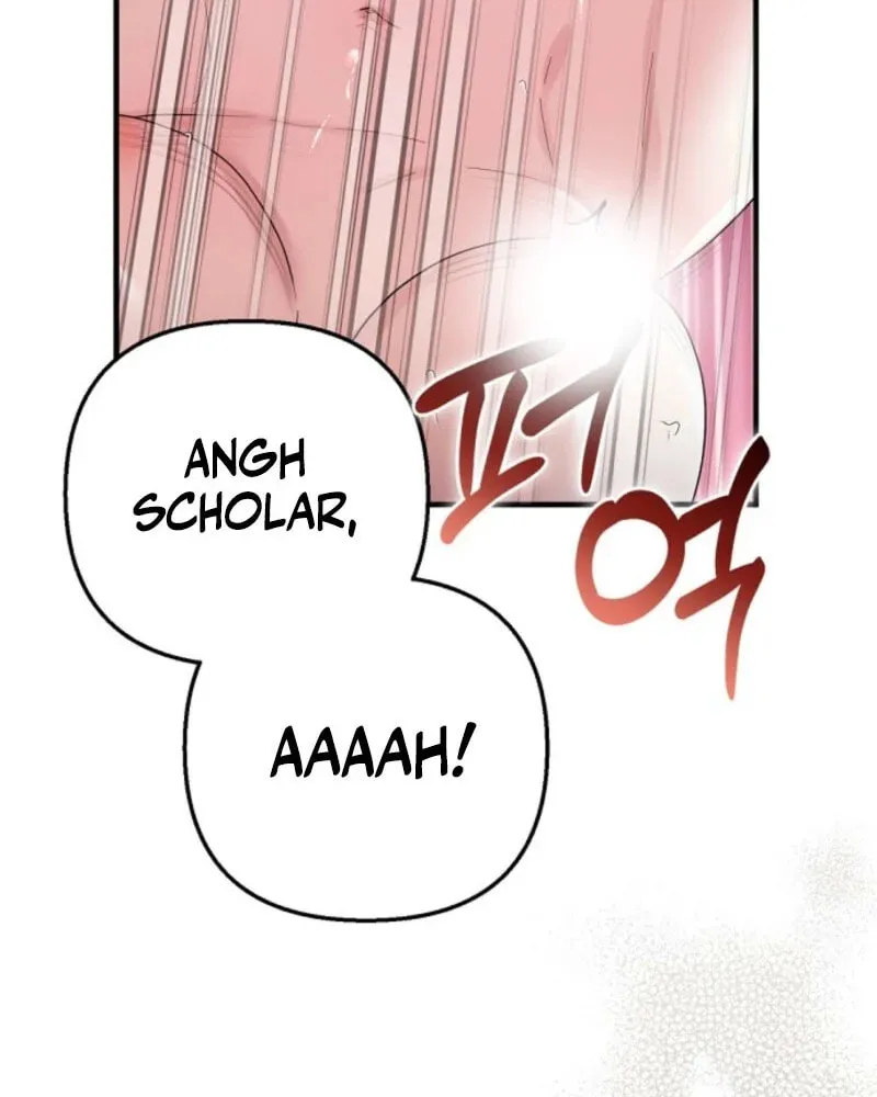 Read Scholar