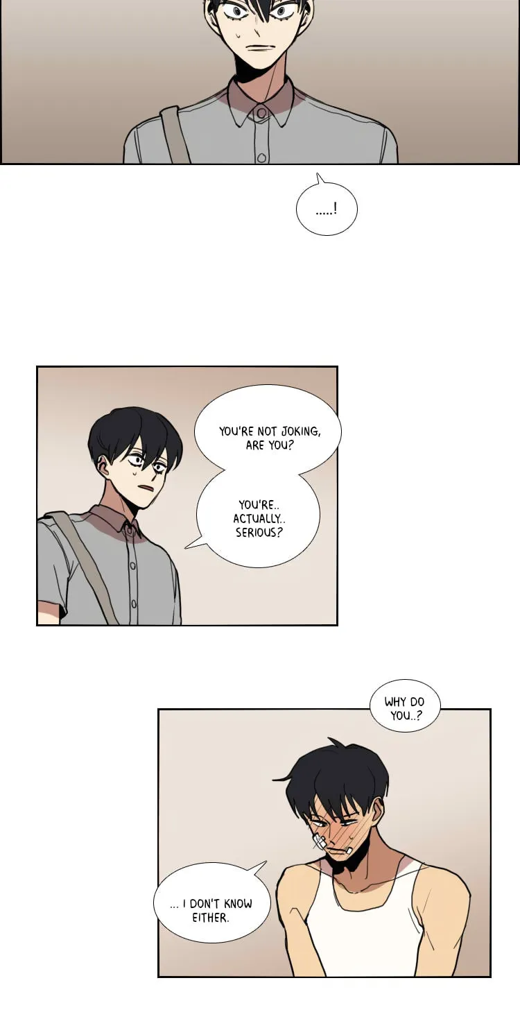 Read School Life chapter 77 image 5 on Lezhin