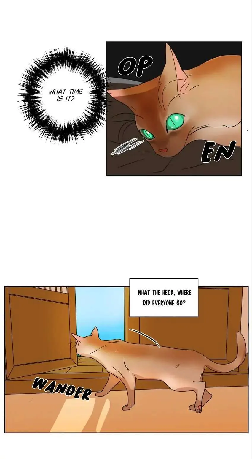 School of Dogs Chapter 39 page 2 - 